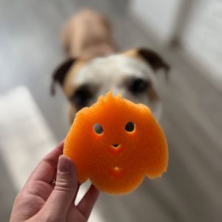 Tak tuhle houbičku jsme prostě museli mít 🤭. Máma s tátou už nějakou tu dobu houbičky Scrub Daddy používají no a když...