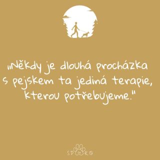 A co vy a psí terapie? 🐕 Spokotlapky jsou tu pro každou tlapku, aby byla spoko! 🫶🏼 Tlapku na to, Kobe 🐾 . #psicitat...