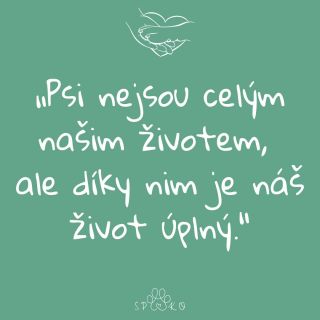 Když mi to máma přečetla, tak jsem ji s radostí olízl. 😘 Vím, že ji i tátu občas pozlobím (občas rozuměj častěji 🤪) a vím,...